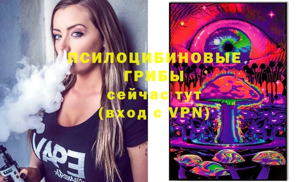спиды Алексеевка