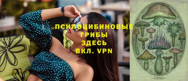дживик Алексин
