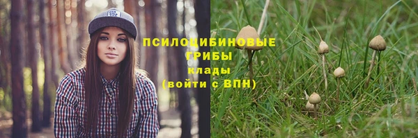 хмурый Рославль