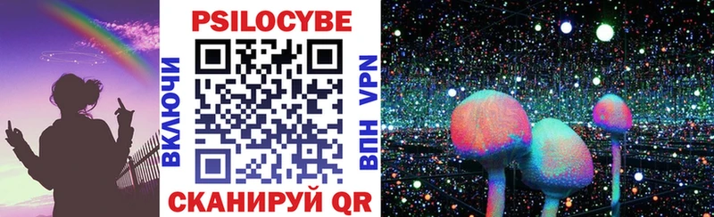 Псилоцибиновые грибы GOLDEN TEACHER наркотики Ветлуга